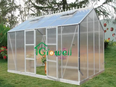 Premium Side Wall Entry Greenhouse for Sale